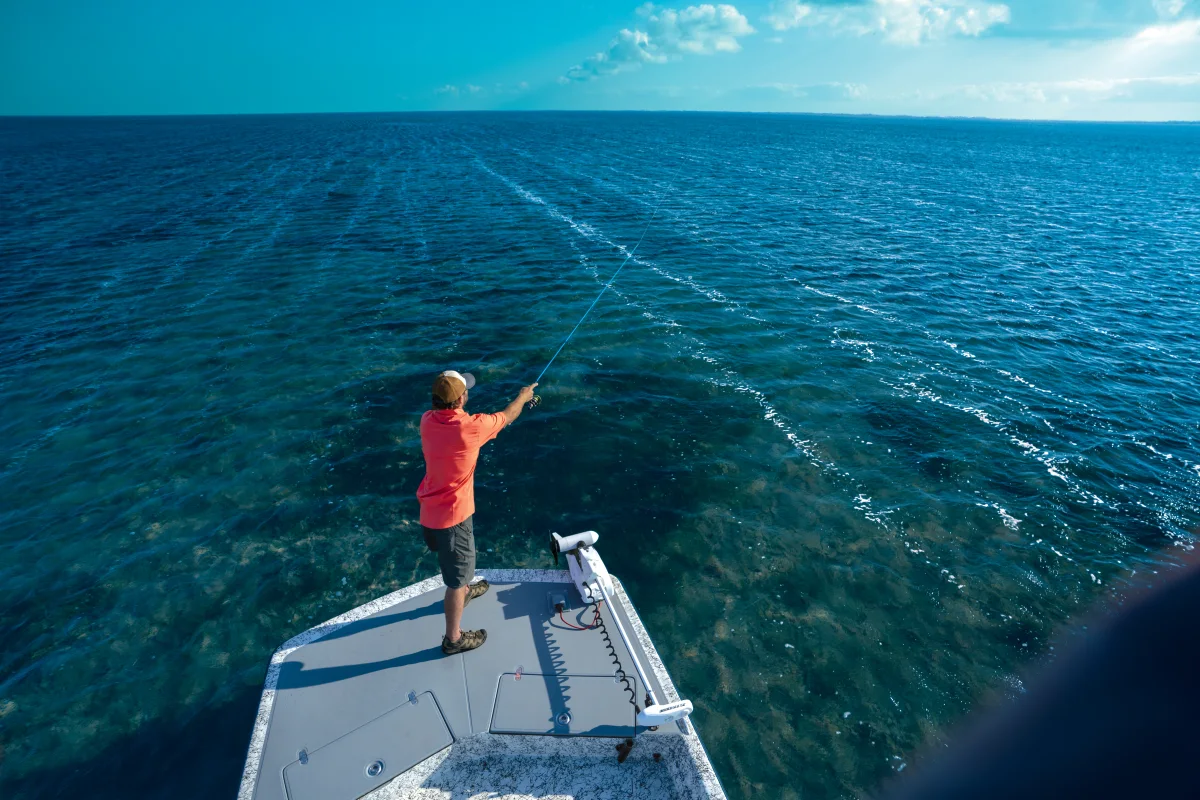Bay or Offshore Fishing